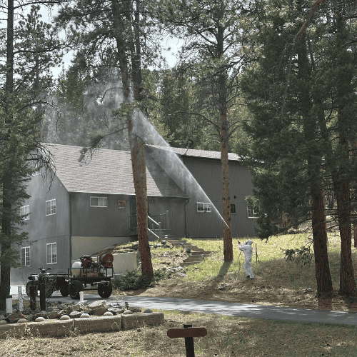 Applying permethrin spray to a pine tree to prevent pine beetle infestation signs before they appear.